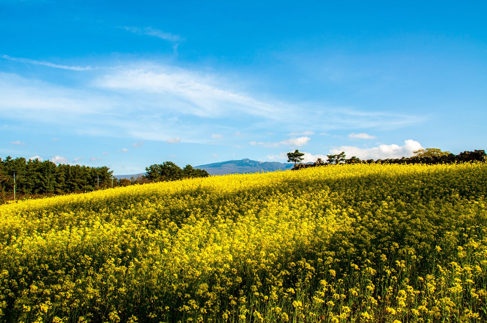 Vé máy bay giá rẻ đi Jeju City